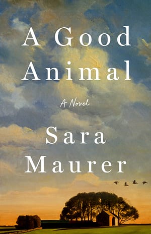 Cover of the novel 'A Good Animal' by Sara Maurer, featuring a pastoral landscape with a sunset, trees, a barn, and a flock of flying birds under a partly cloudy sky.